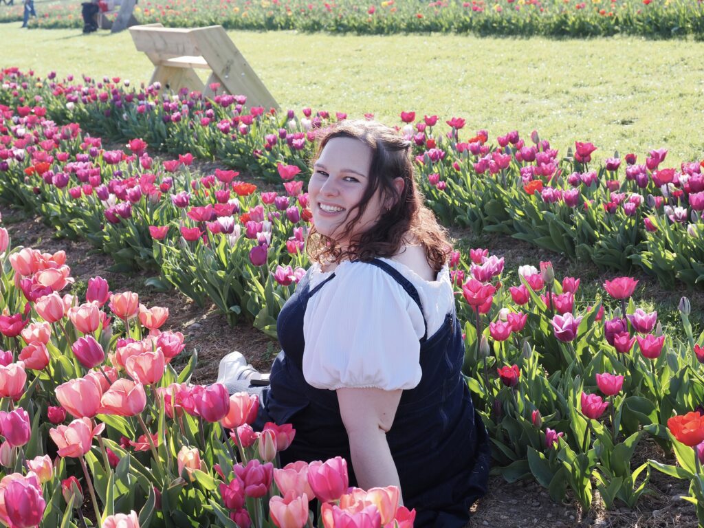 Tulleys Tulip Fields near Willows Activity Farm. Photo: John Andrews