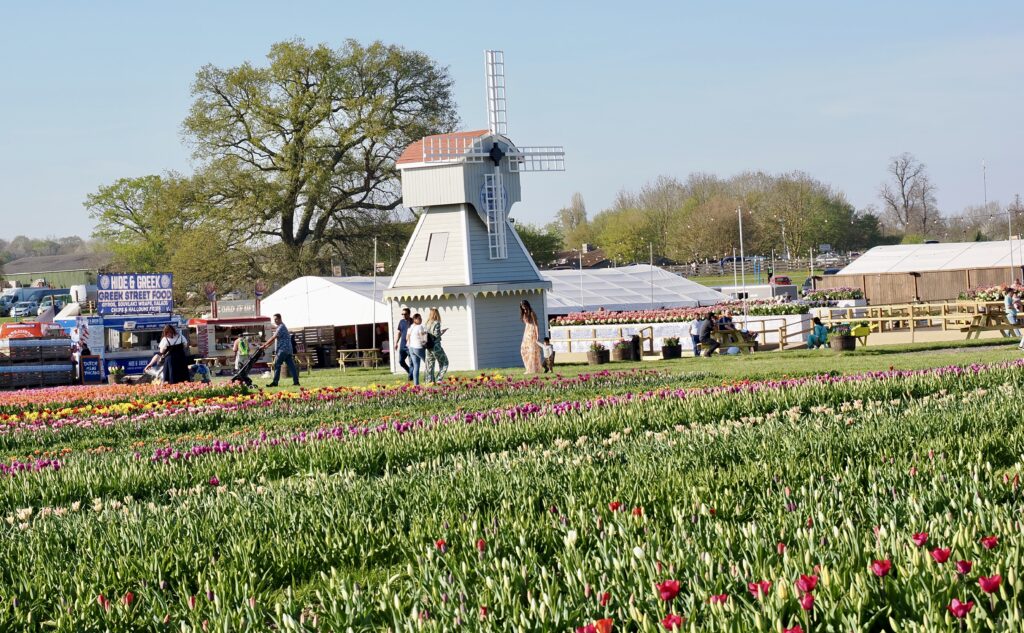 Tulleys Tulip Fields near Willows Activity Farm. Photo: John Andrews