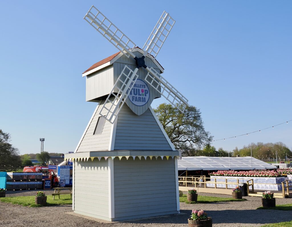 Tulleys Tulip Fields near Willows Activity Farm. Photo: John Andrews