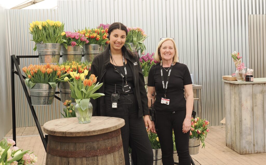 Tulleys Tulip Fields near Willows Activity Farm. Photo: John Andrews