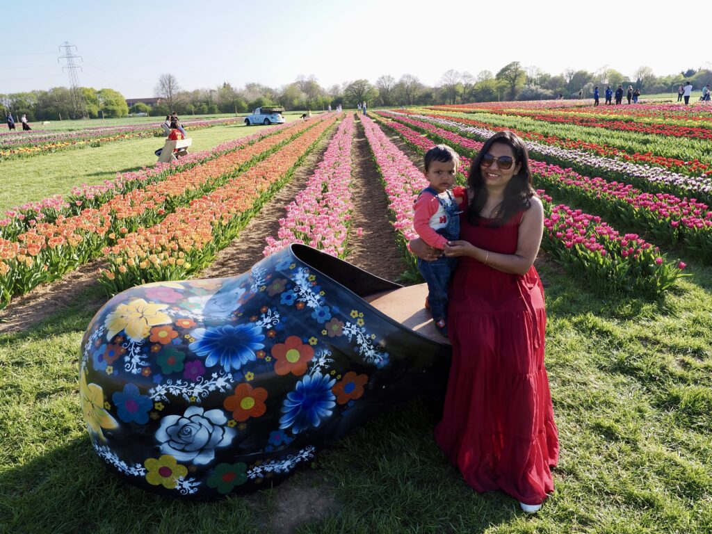 Tulleys Tulip Fields near Willows Activity Farm. Photo: John Andrews