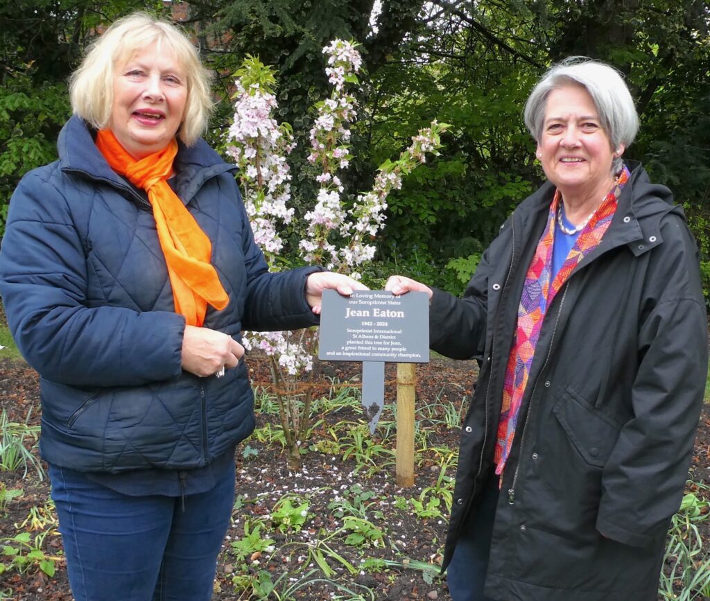 St Albans Soroptimists hold tree dedication and Orange the World tulips commemoration event at Civic Rose Garden