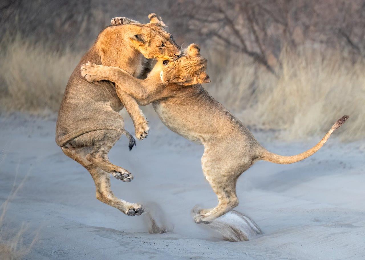 Adolescent Anger by Julie Cawthorpe
