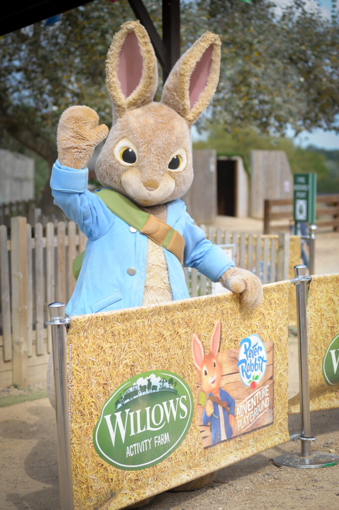 Willows Activity Farm