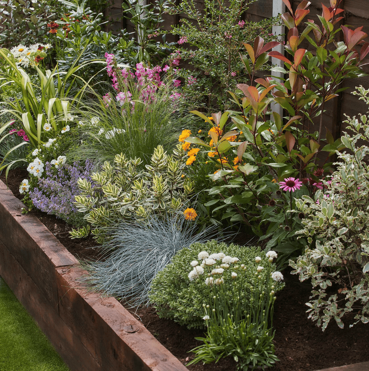 A Garden on a Roll border is up for grabs!