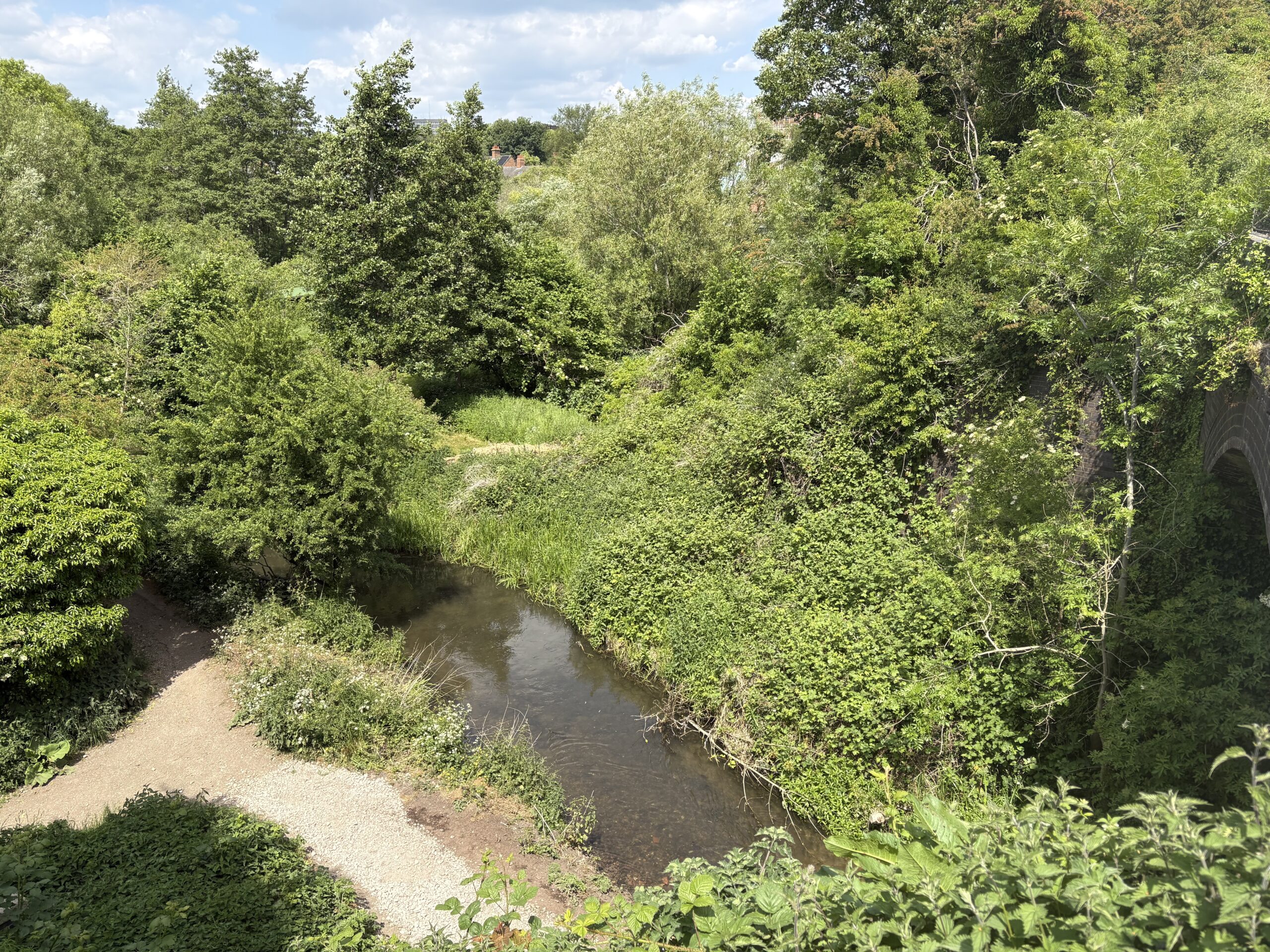 The River Ver