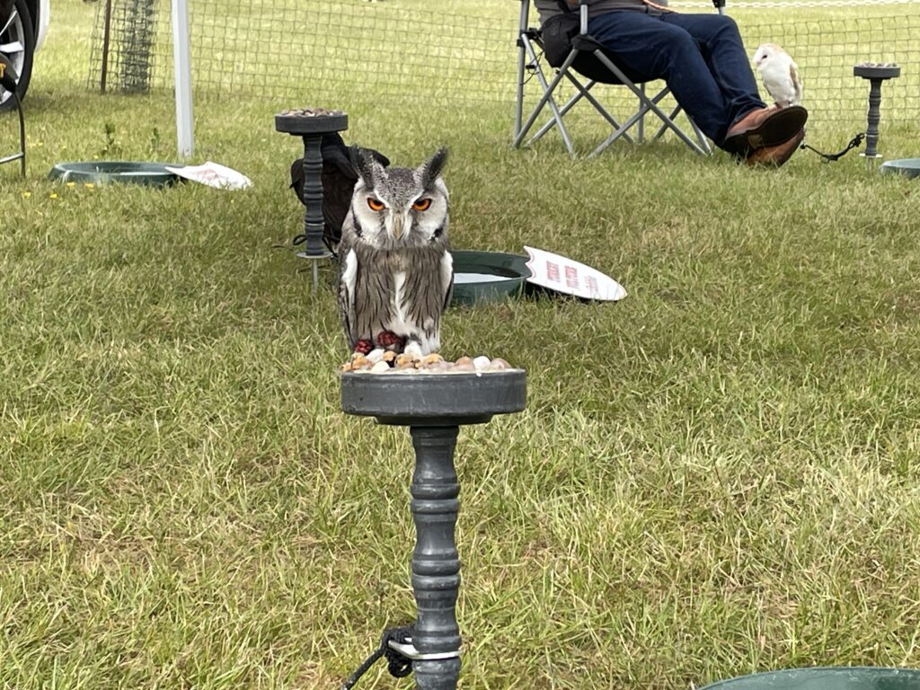 Herts County Show 2025