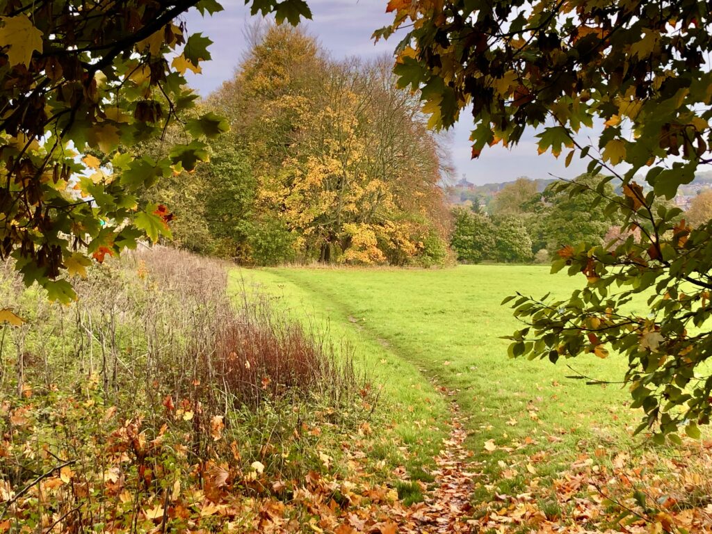 Verulamium Park. Photo: Dr Robert Wareing