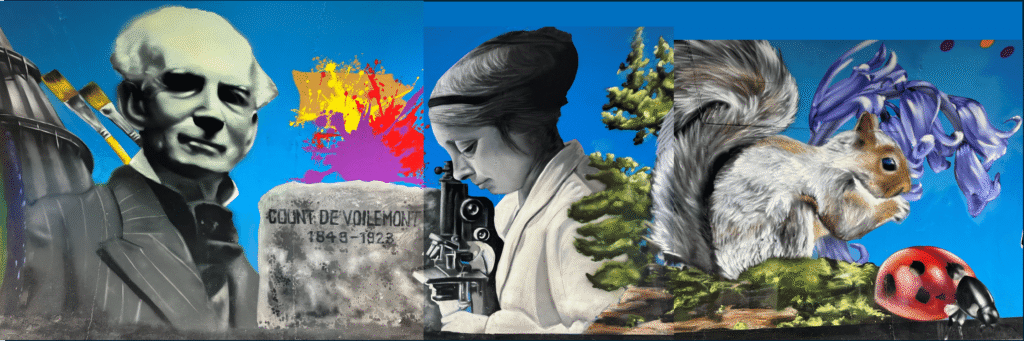 Katherine Warington on the Station Road mural