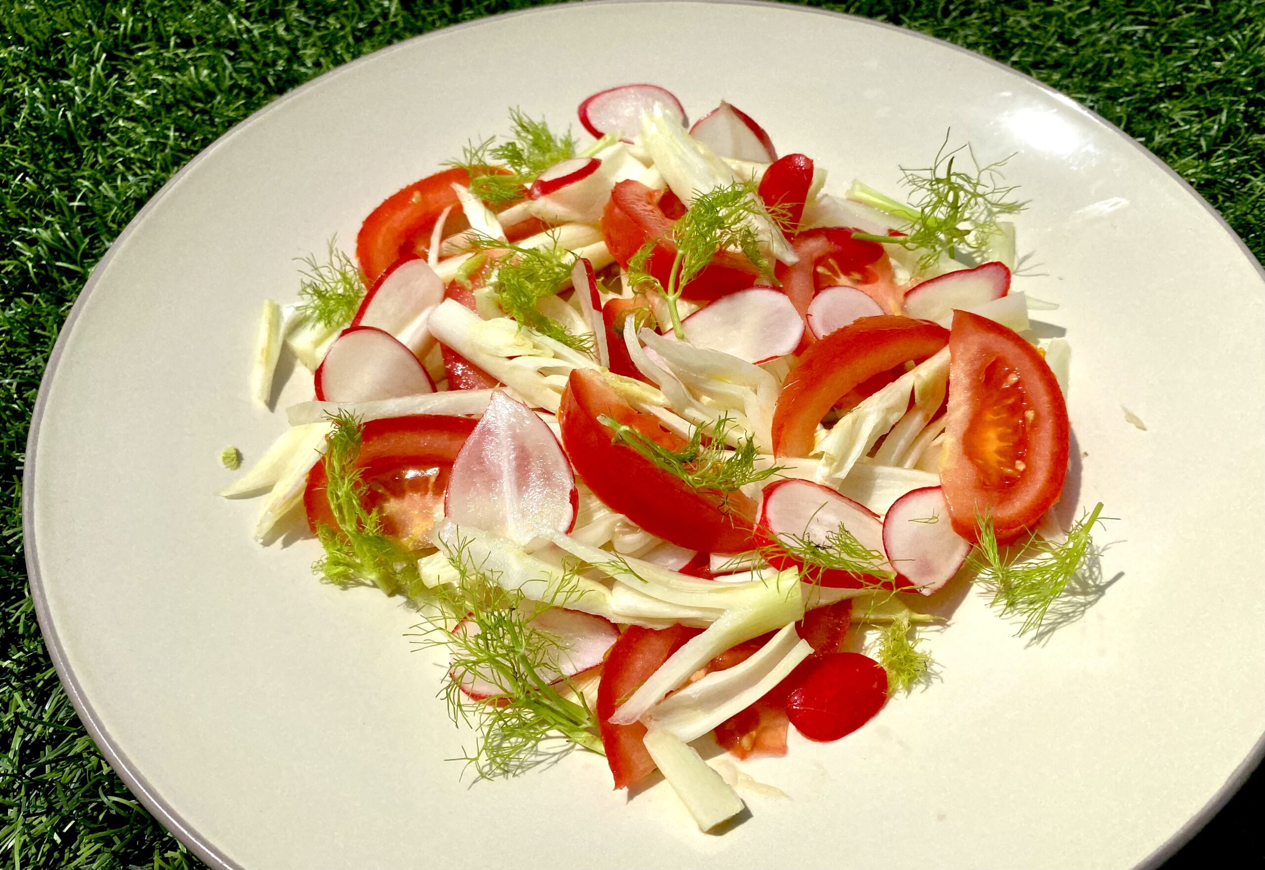 Fennel salad