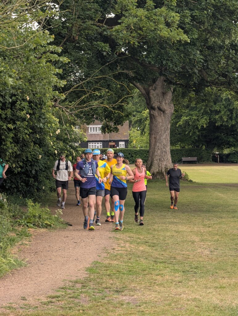 The St Albans Sixer Backyard Ultra. Photo: Cam Ross