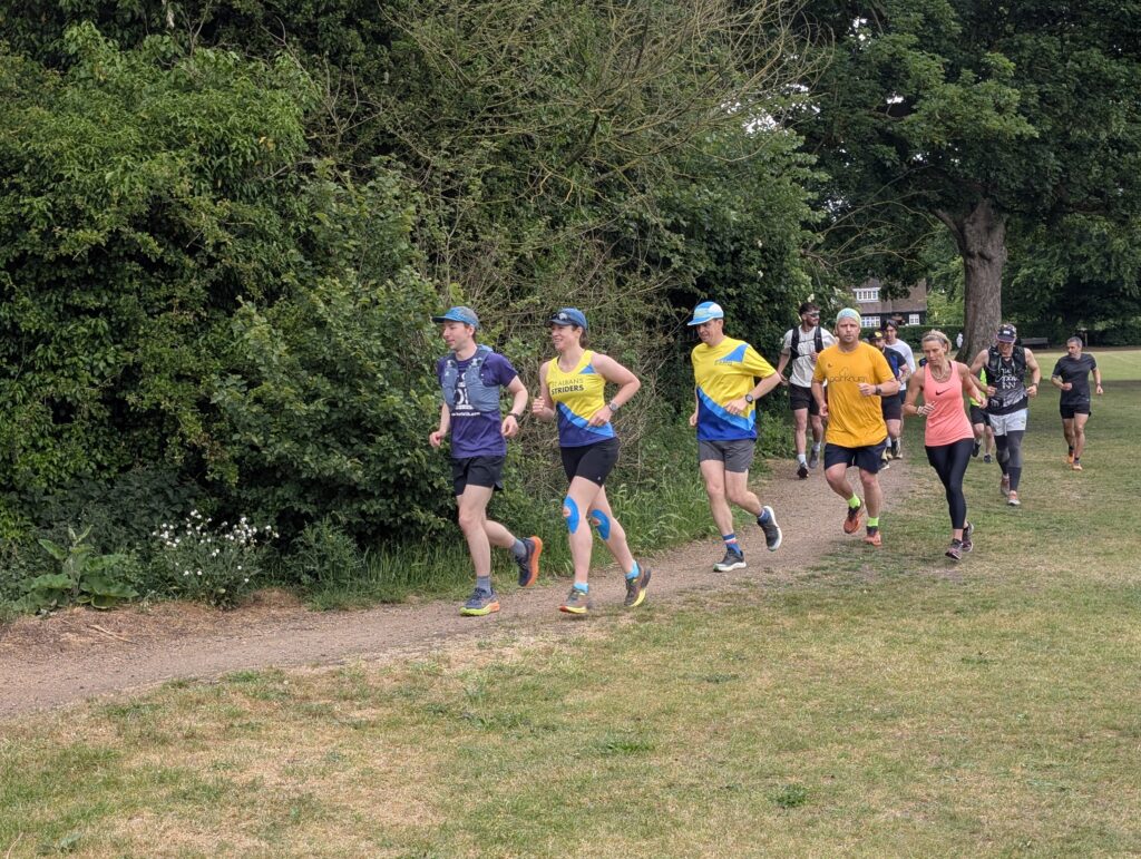 The St Albans Sixer Backyard Ultra. Photo: Cam Ross