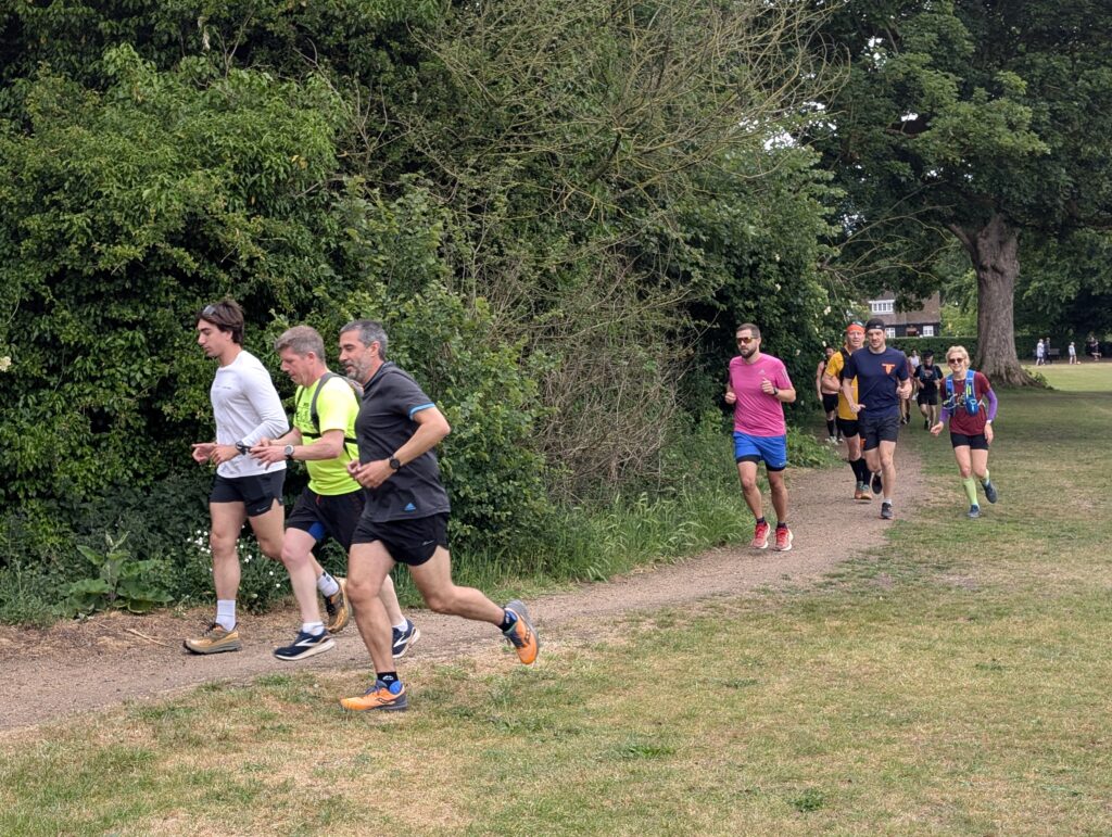 The St Albans Sixer Backyard Ultra. Photo: Cam Ross
