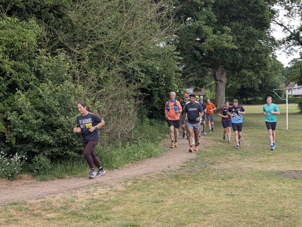 The St Albans Sixer Backyard Ultra. Photo: Cam Ross