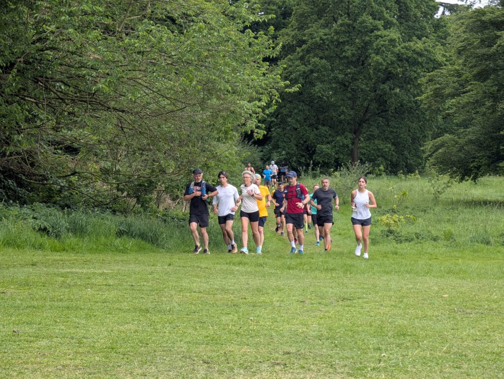 The St Albans Sixer Backyard Ultra. Photo: Cam Ross