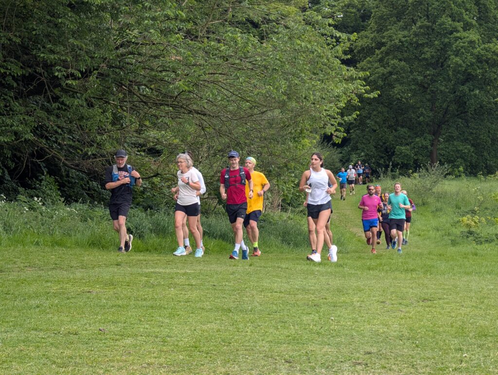 The St Albans Sixer Backyard Ultra. Photo: Cam Ross