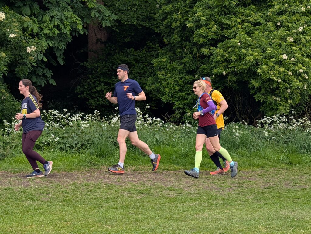 The St Albans Sixer Backyard Ultra. Photo: Cam Ross