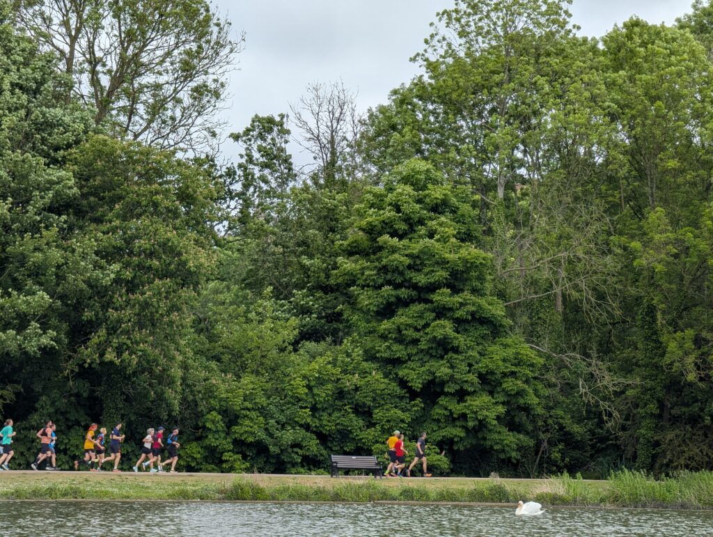 The St Albans Sixer Backyard Ultra. Photo: Cam Ross