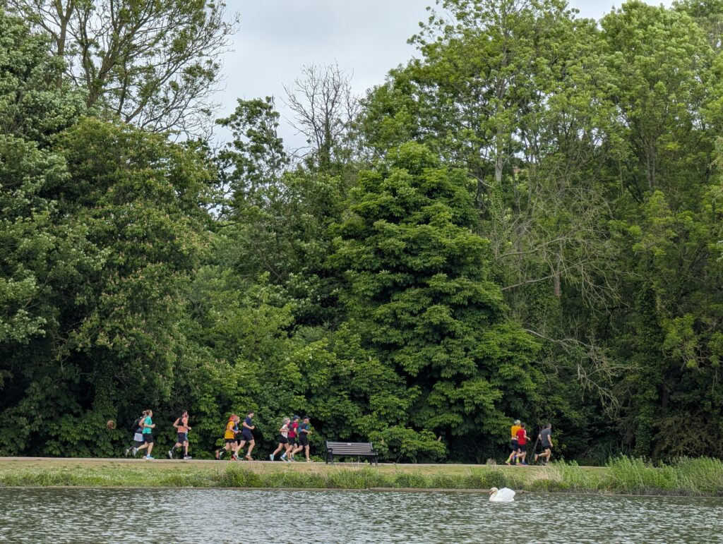 The St Albans Sixer Backyard Ultra. Photo: Cam Ross