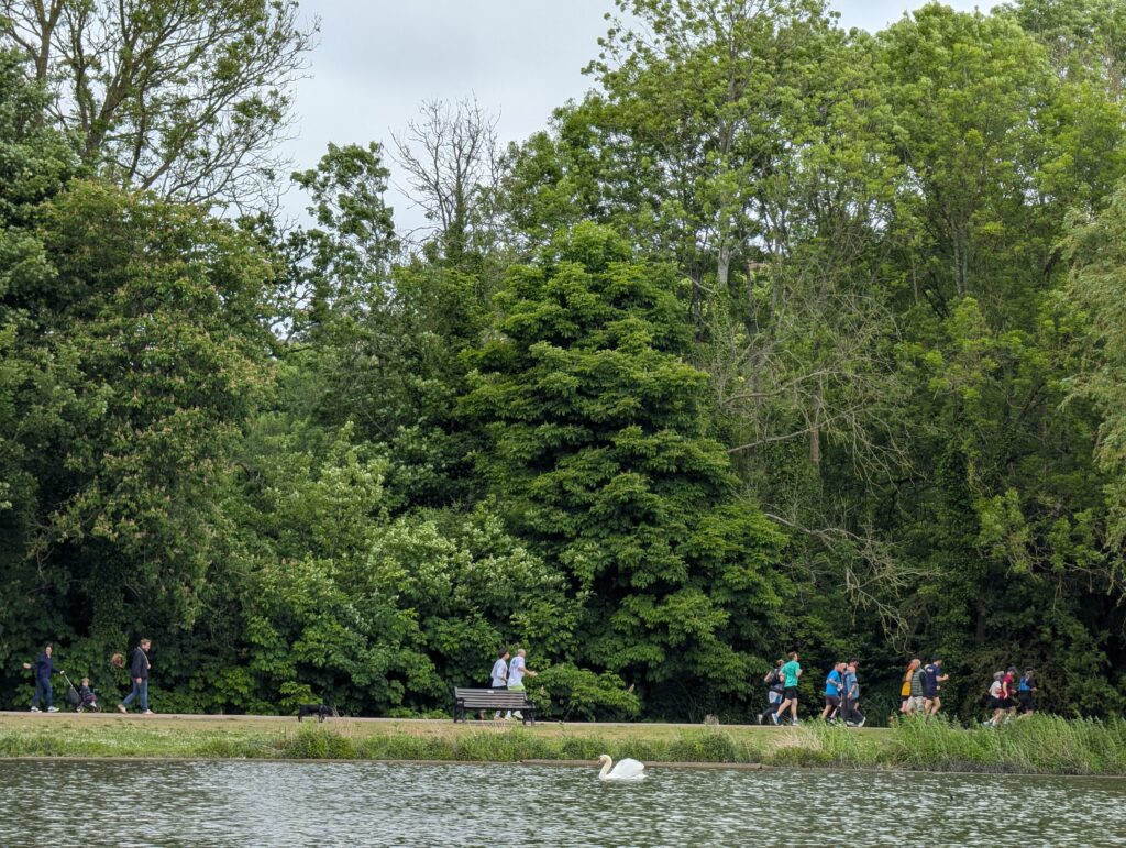 The St Albans Sixer Backyard Ultra. Photo: Cam Ross