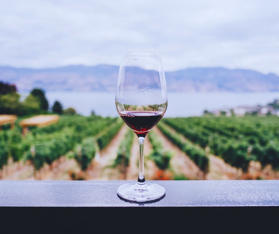 Portuguese vineyards