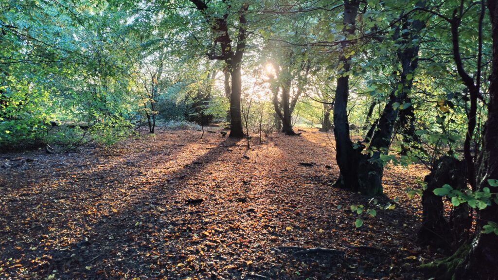 Green Belt land in Chiswell Green