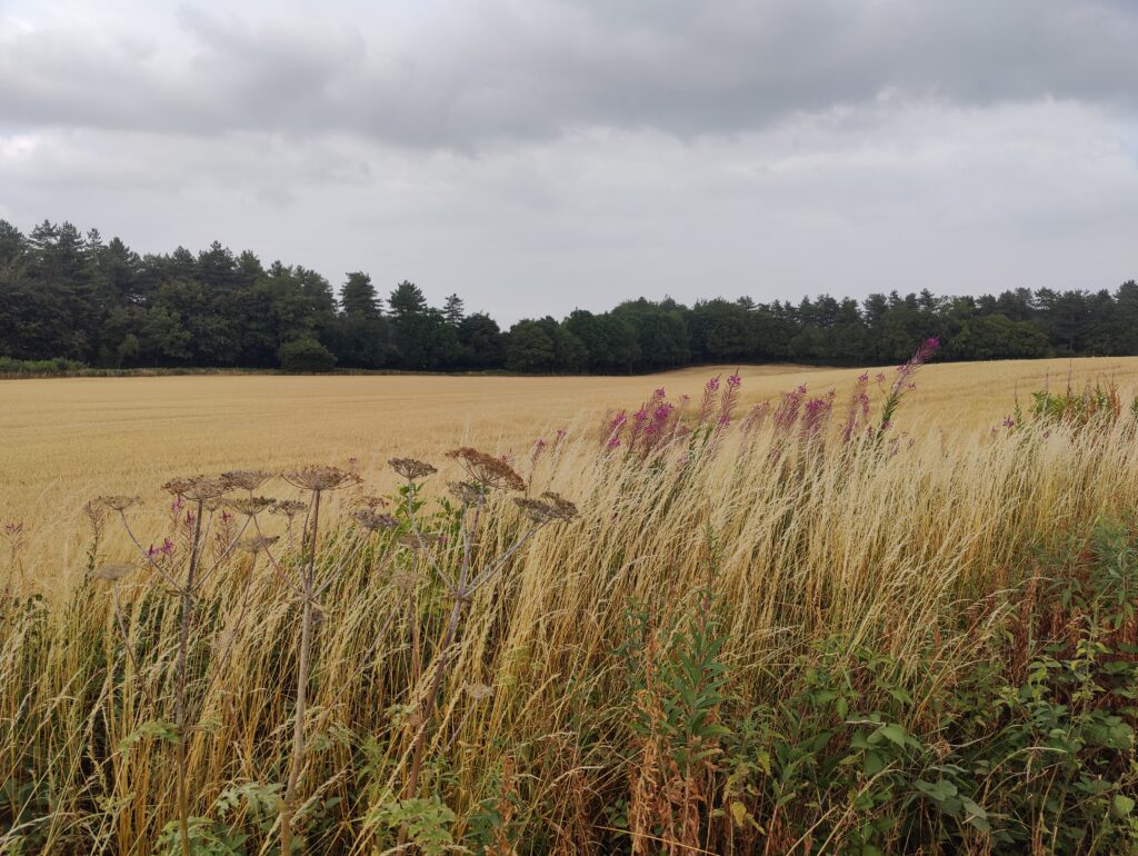 Green Belt land in Chiswell Green