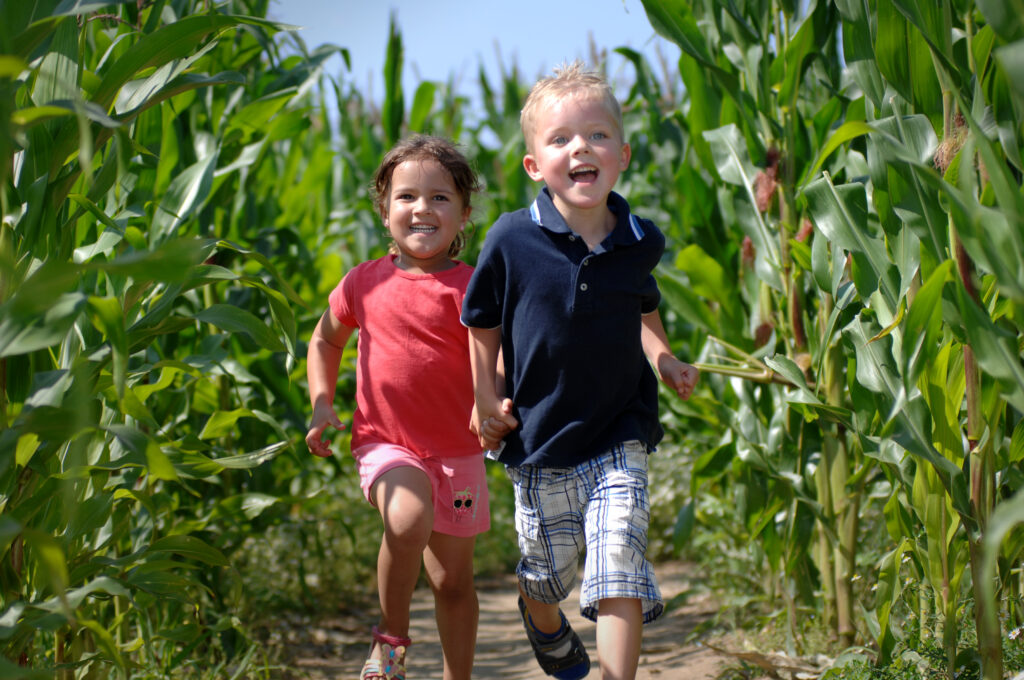 The Summer Spectacular at Willows Activity Farm