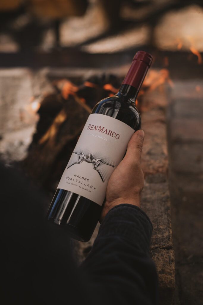 BenMarco Sin Limites Gualtallary Malbec in hand
