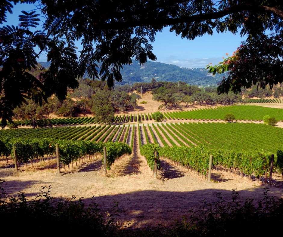 Napa Valley, California