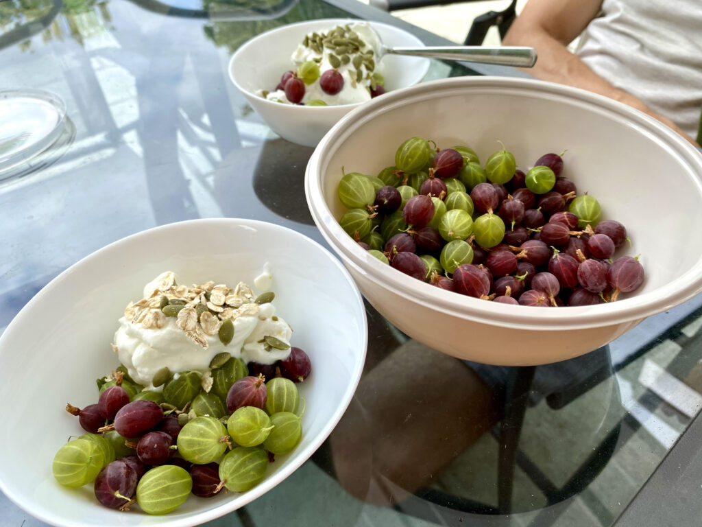 Gooseberries