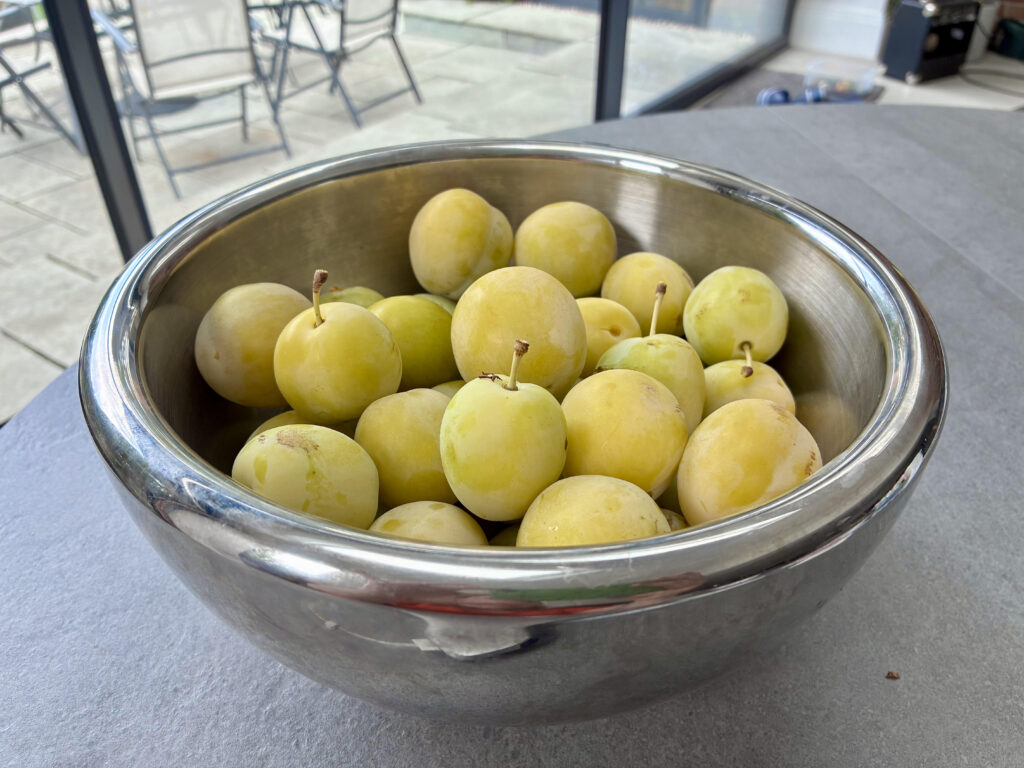 Greengages