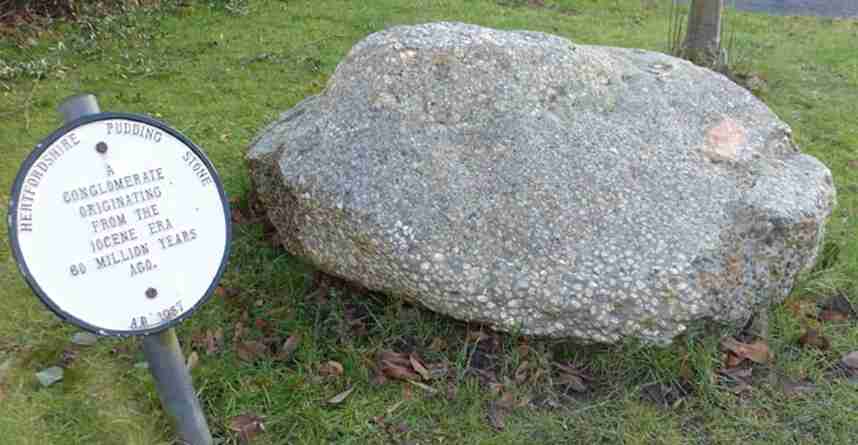 The Highfield puddingstone. Photo: Highfield Park Trust