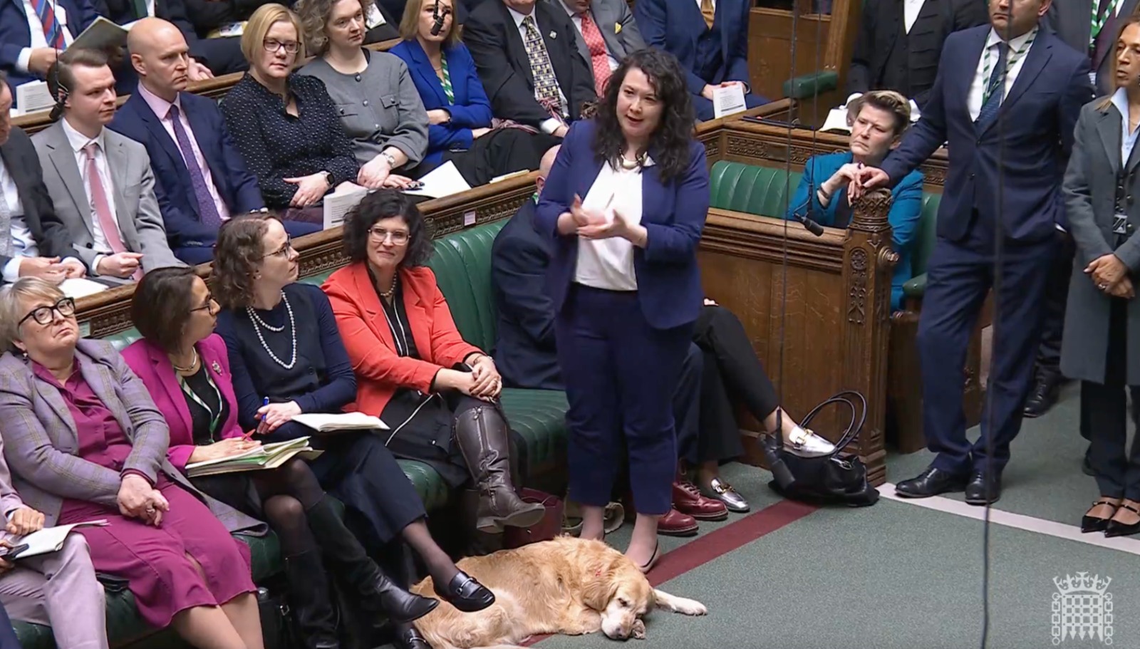 Victoria Collins speaking in the Commons.