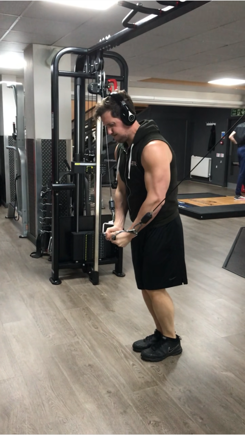 Mark training
