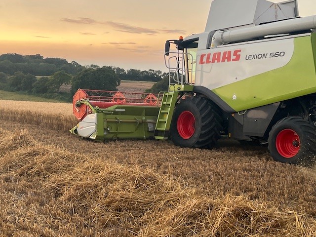 Combine harvester at Thrales End farm