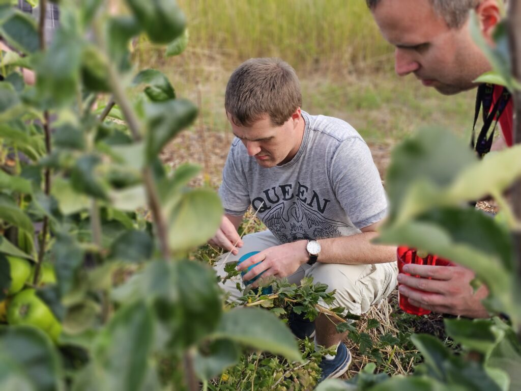 Harpenden Mencap's Allotment Club
