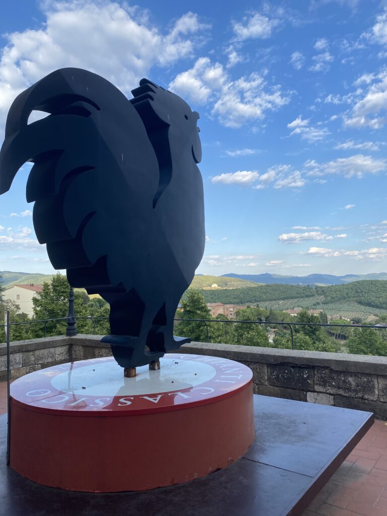 Vignano Vineyard