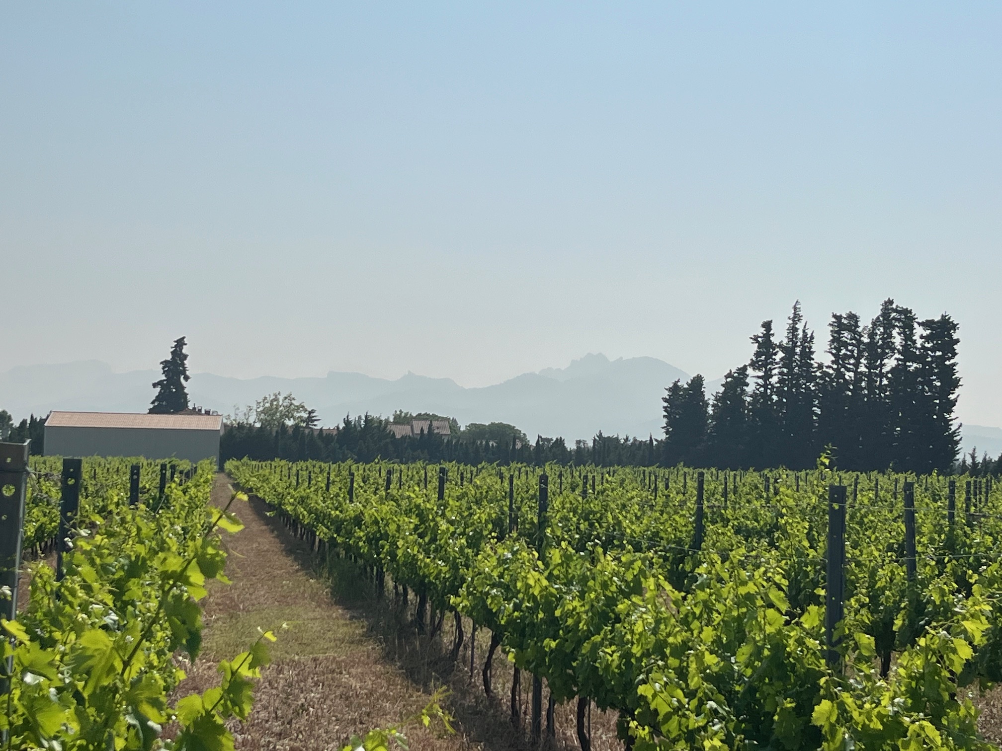 Domaine des Favards