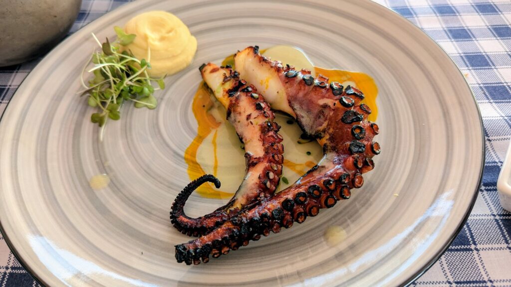 Octopus
