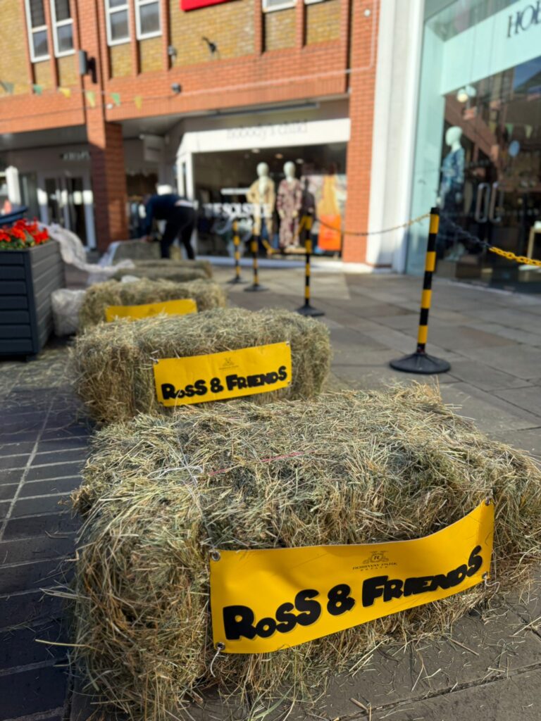 Dog Day at Christopher Place Shopping Centre