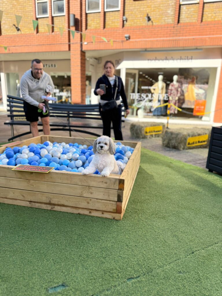 Dog Day at Christopher Place Shopping Centre
