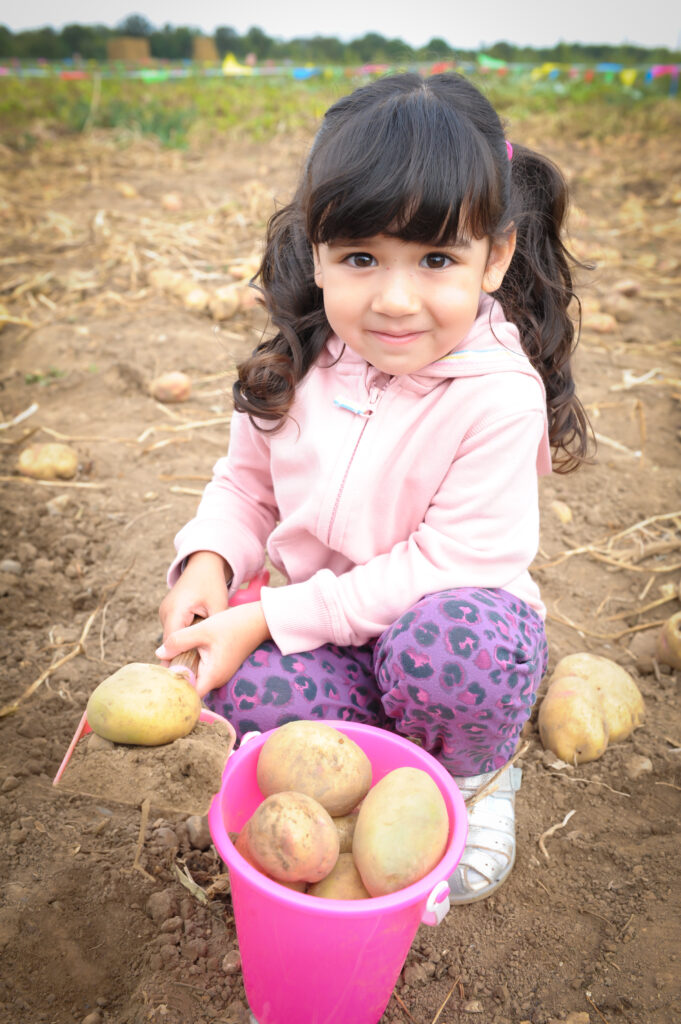 The Potato Shindig is back at Willows Activity Farm.