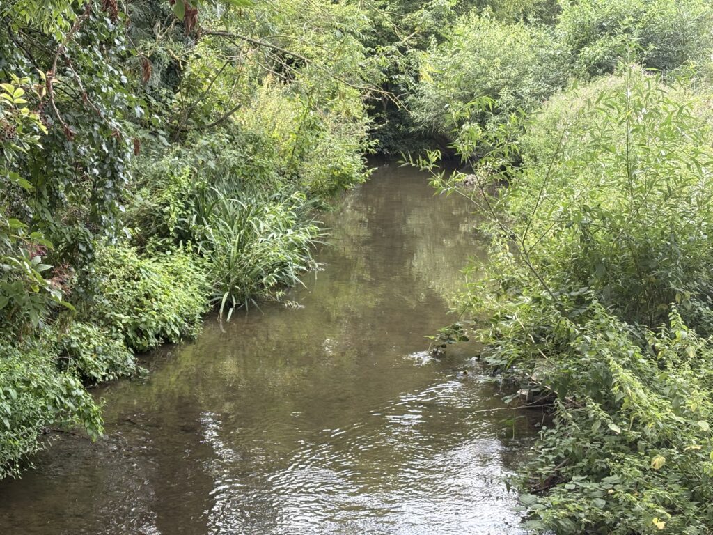 The River Ver