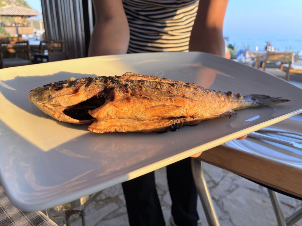 Seabream