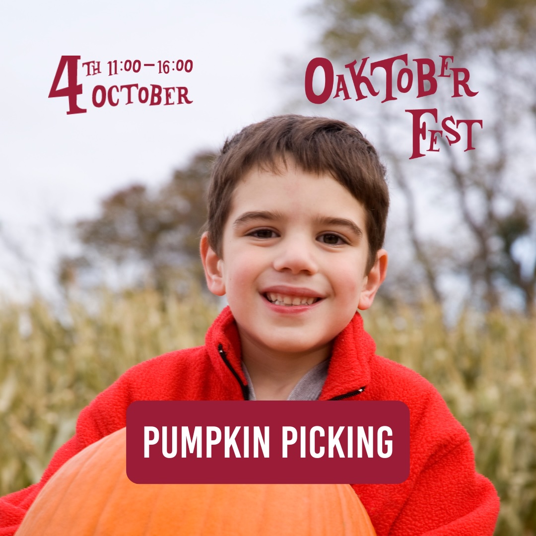 Oaktoberfest returns on October 4.