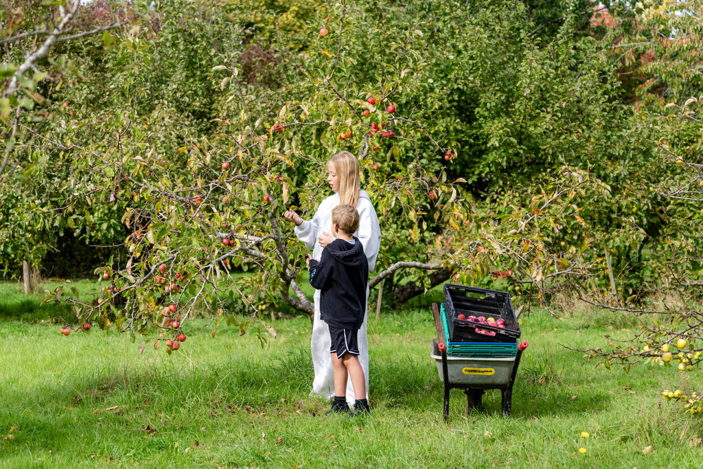 Highfield Park Trust Apple Day 2025. Photo by Stephanie Belton