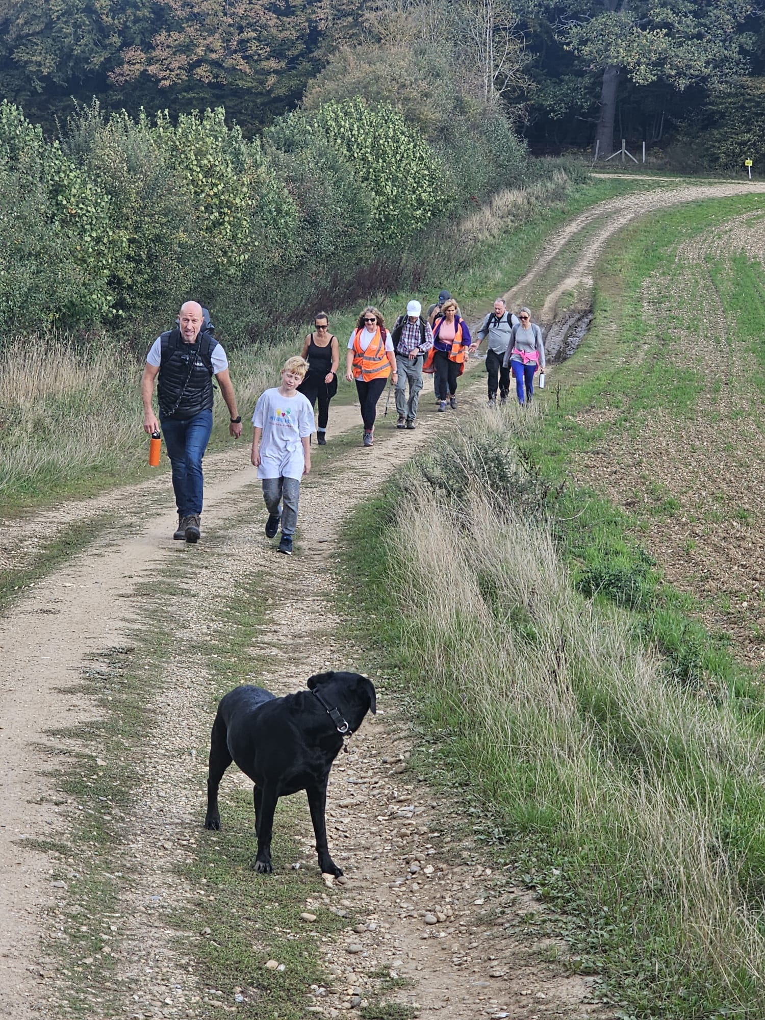 The Great Big Walk for Herts.