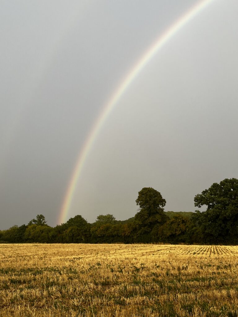 The Shottfield site in Sandridge