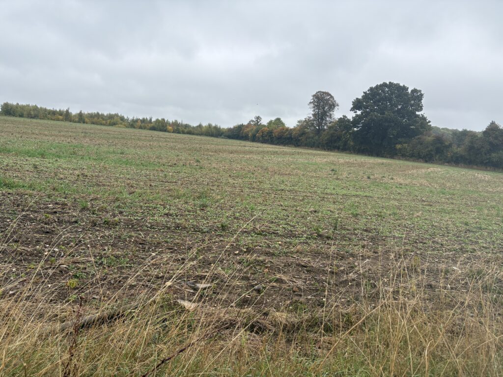 The Shottfield site in Sandridge